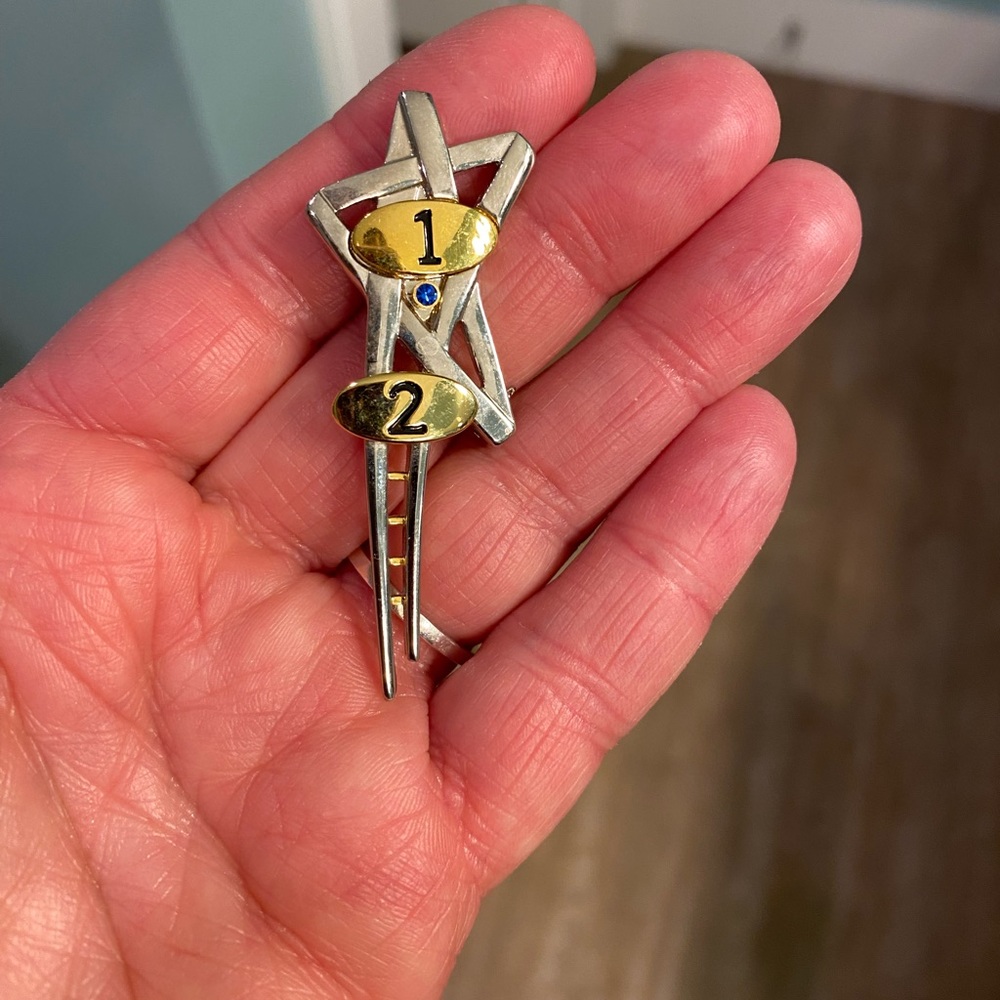 Mary Kay Silver and gold pin.